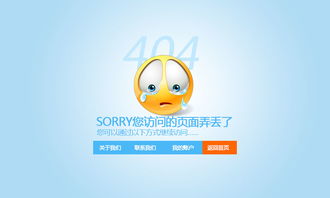 石家庄网络建设快步前行 河北极速网络科技助力城市数字化腾飞